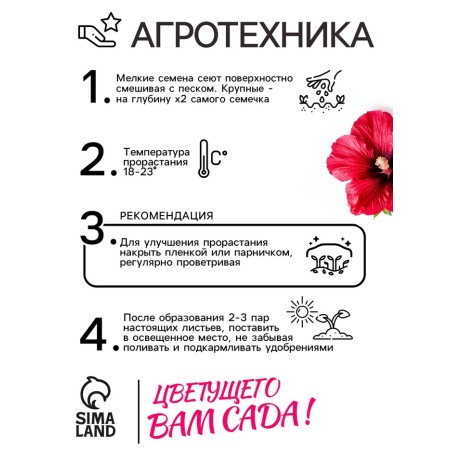 Семена Шток-роза Индийская весна, смесь сортов , 0,3г-3