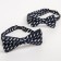 Set of tie-butter-tie "Mr." for boys, species mix
