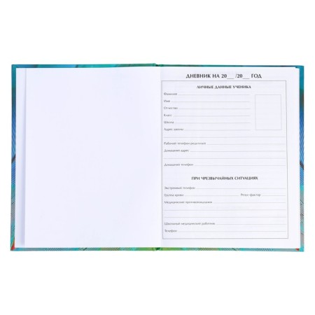 Diary for grades 5-11, "feathers 2", solid cover 7BC, matte lamination, selective varnish, 48 sheets-3