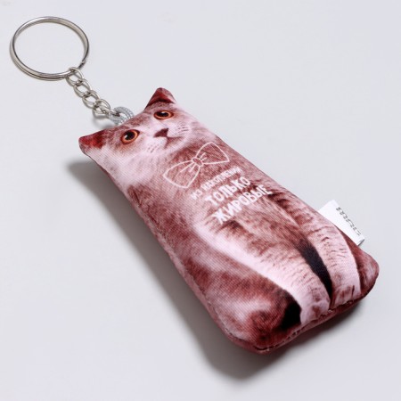 Antistress keychain "from savings"-2