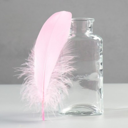 A set of goose feathers 13-18 cm, 20 pcs, bright pink