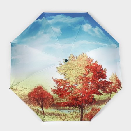Mechanical “Landscape” umbrella, Eponge, 4 additions, 8 knitting needles, r = 48 cm, color mix-12