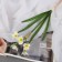 Artificial flowers "Narcissus Lux" Diam.usvetka-3.5cm, 38 cm, white-yellow