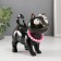 Souvenir Ceramics "A cat with a bow and a necklace" Black 13.8x7.4x13 cm