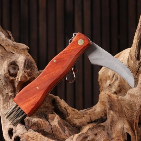 Knife "Mushroom Man", with a brush-1