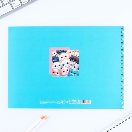 Album for drawing A4 32 sheets on the spring “September 1: anime. Kitty "-3