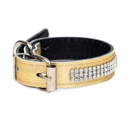 The collar of the two-layer leather with rhinestones, width 2 cm, Osh 23-33 cm, gold
