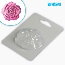Plastic form for soap 