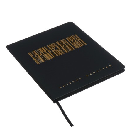 Universal Diary Grade 1-11, 48 sheets "Shtrich Code", solid cover of artificial leather, foil embossing, liesse, universal cheat sheet, block 80 g/m2-1