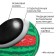 Volleyball ball ONLYTOP “Watermelon”, PVC, machine stitches, 18 panels, p. 2