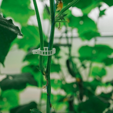 Garden clip, d = 25 mm, set 50 pcs., Greengo-4