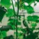 Garden clip, d = 25 mm, set 50 pcs., Greengo