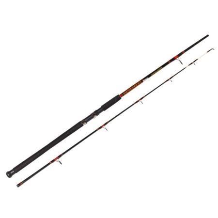 Trolling spinning Salmo Power Stick Trolling Spin XH, test 50-100 g, length 2.4 m.