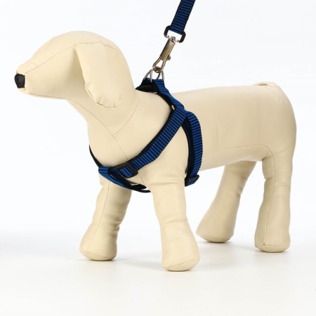 Acunition set is embossed, leash 120 x 2 cm, og 44-50 cm, blue-black-1