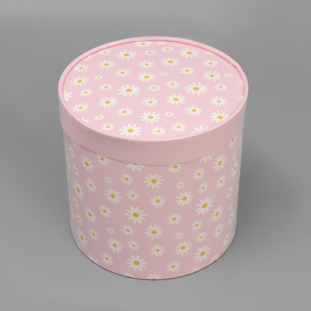 Set of hats 4 in 1, gift packaging, “chamomile”, 12 x 12 - 20 x 20 cm-5
