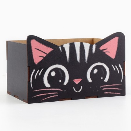 Organizer for the Office "Black Cat"-3