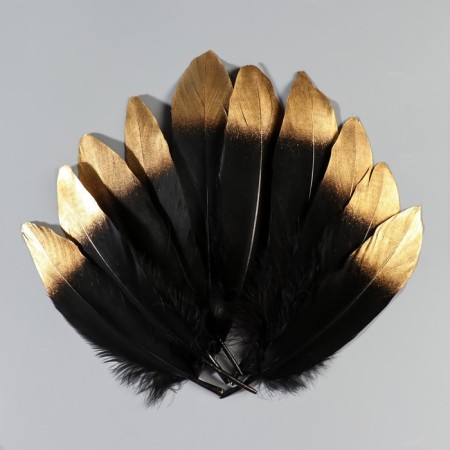 A set of goose feathers 15-20 cm, 10 pcs, black with a golden tip-1