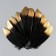 A set of goose feathers 15-20 cm, 10 pcs, black with a golden tip