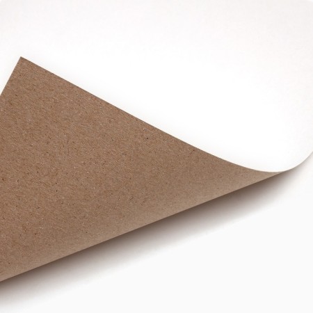 White cardboard, A4, 16 sheets, unilateral, unilateral, in the folder, 220, g/m², puppy patrol-1