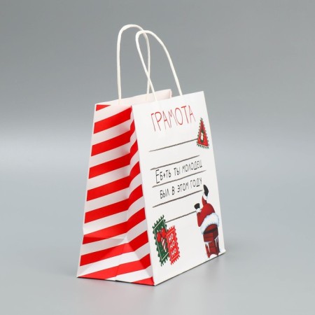 Package Gift craft "Well done", 22 x 22 x 11 cm, new year-2
