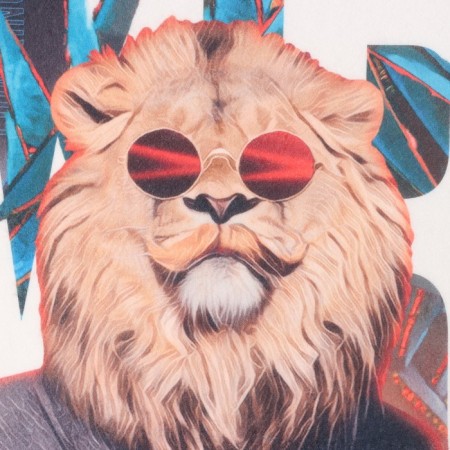 Gift set "Mr.lion" blankets, socks, gloves-3