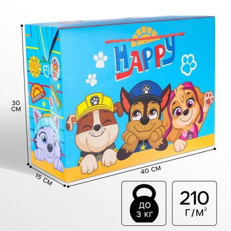 Package-capture, 40 x 30 x 15 cm "Happy", packaging, puppy patrol