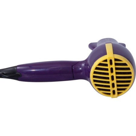Feng ECON Eco-BH221D, 2200 W, 2 speeds, 3 temperature conditions, purple-yellow-4