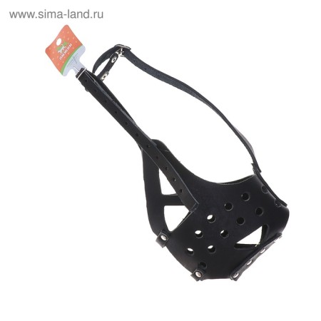 The muzzle is fir -white, length on the nose 6.5 cm, ohm 35 cm, rottweiler, black-4