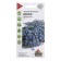 Lobelia seeds ampel "Niagara", 0.01 g