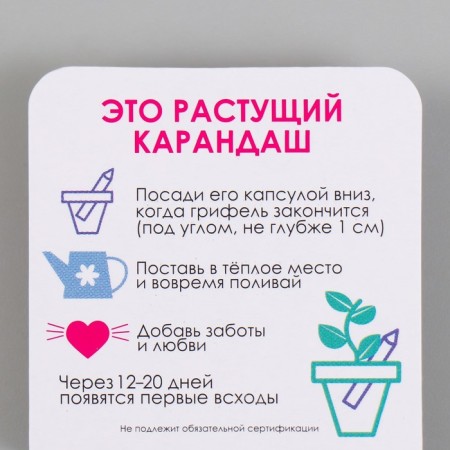 Growing gift pencils mini dream "clove"-2