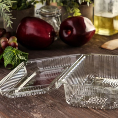 The plastic disposable container with an insoluble lid pr-K-7a, 250 ml, 21.5 × 13.5 × 7.2 cm, the color is transparent-2
