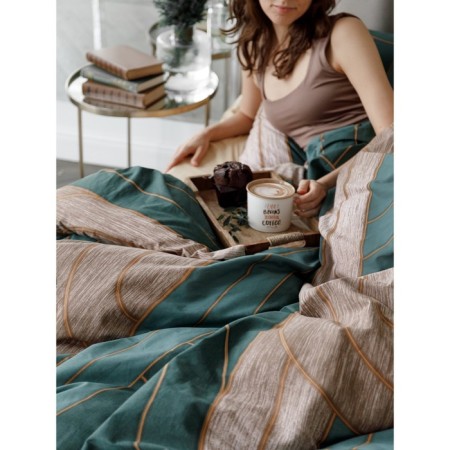 Bed linen euro, size 240x220 cm, 215x220 cm, 50x70 cm - 2 pcs-7