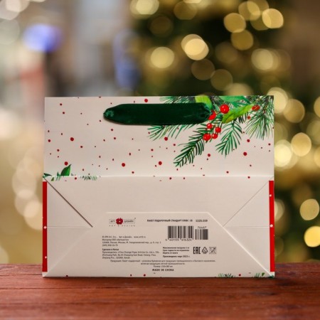 Gift package "Snegier for the holiday", 23 x 17.8 x 9.8 cm-1