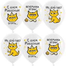 Шар латексный 12" «С днем рождения! Рыжий кот», пастель, 1-сторонний, набор 25 шт. белый МИКС