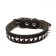 Collar combined leather/tarpaulin "Hedgehog", 55 x 2.5 cm, Osh 35-45 cm, black