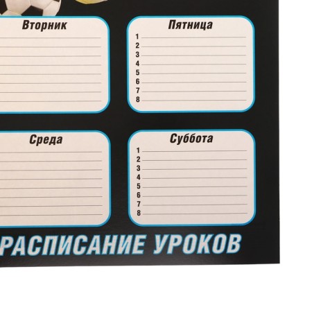 Schedule A3, Erichkrause "Sport DNA", coated cardboard-2
