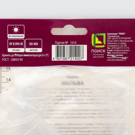 Malva "Pink Nigra", 1 pc, rr I, spring 2025-1