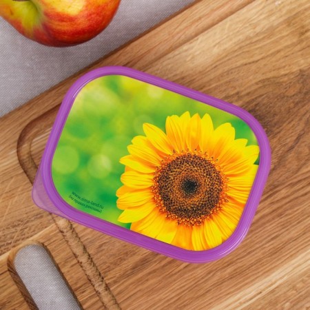 Sunflower lunch box, 500 ml-2