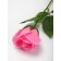 Soap rose pink in a box