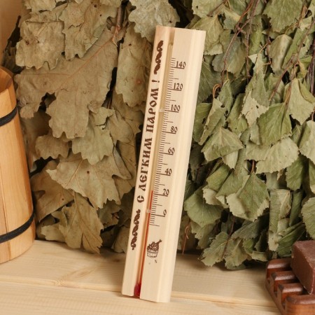 Thermometer for baths and sauna TBS-41 (t 0 + 140 s) in the blister-2