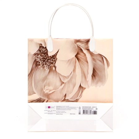 Package "Grace", 140 μm, soft plastic, 24 x 25 x 9 cm-2