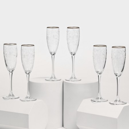 Set of glass glasses "Vienna Forest", 170 ml, 6 pcs