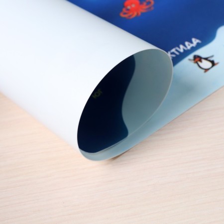 Laying on the table plastic A3 (460 x 330 mm), calligrata "Map of the World", 430 μm, teaching-3