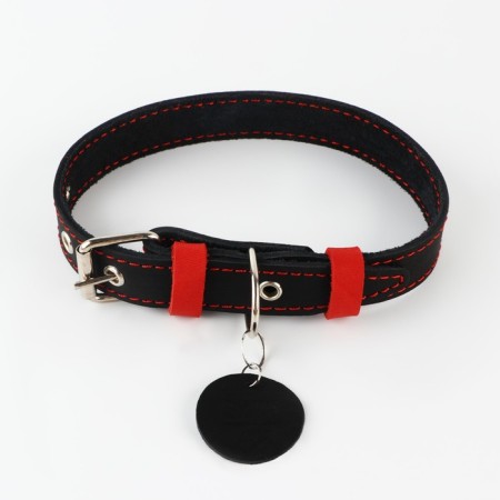 Set: collar (36-56x2.5 cm) and leash (130x1.5 cm), black color and raspberry color-2