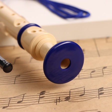 Music Life Blockflate, 8 holes, blue cover, ramrod, 30 cm-1
