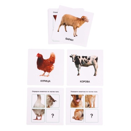 Useful suitcase "Pets", according to the methodology of Doman, plastic chips-2