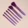 A set of makeup brushes, 6 items, PVC package, purple color