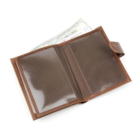 Cover for auto documents on a button, a passport department, and bills, brown color-2