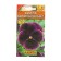 Viola Flowers "Velvet", DV, 0.1 g