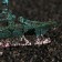 Decor for the Aquarium "Little Boat", 13 x 2.5 x 5.5 cm